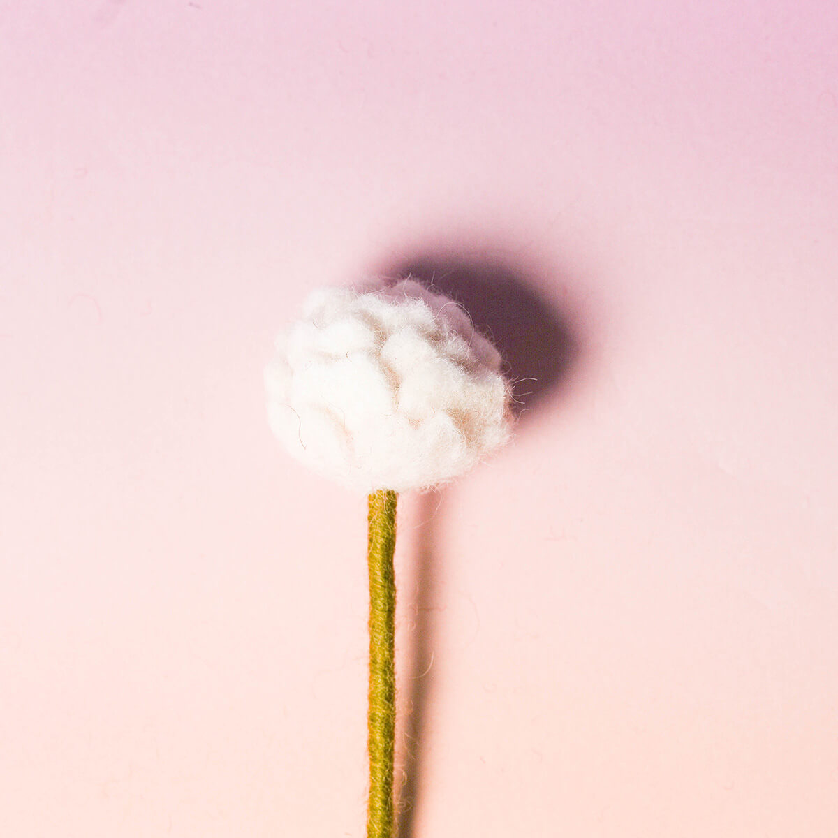 フェルトフラワー (ローズ)