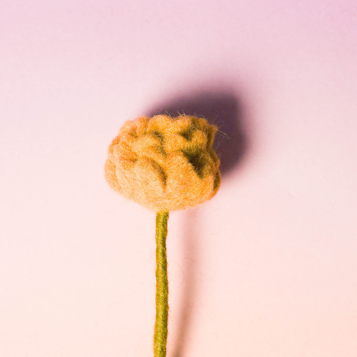 フェルトフラワー (ローズ)