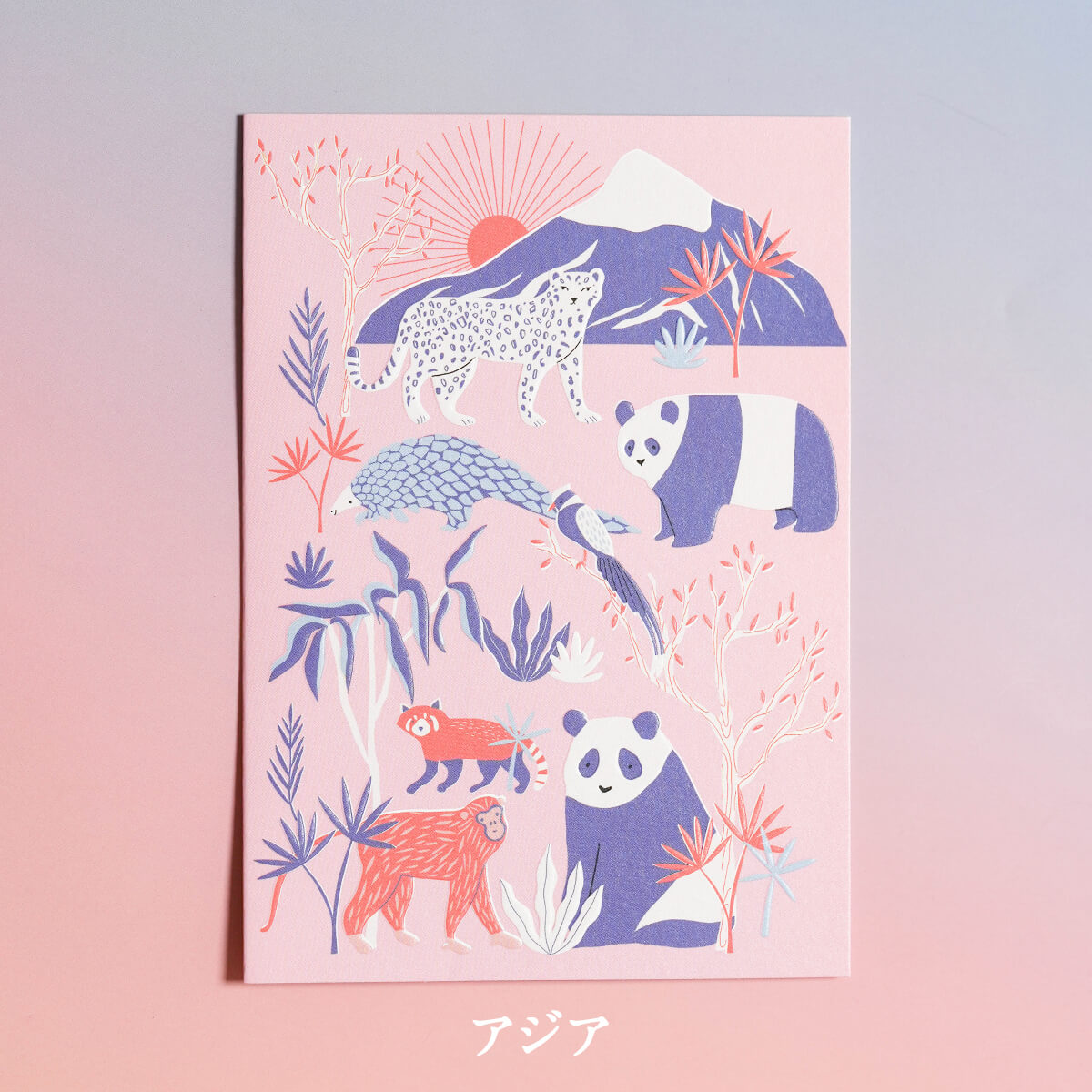 メッセージカード(WILD WORLD)