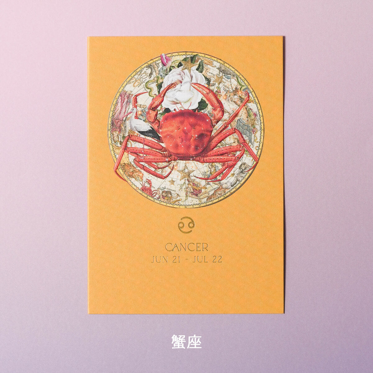 バースデーカード ZODIAC By myrtle & mary