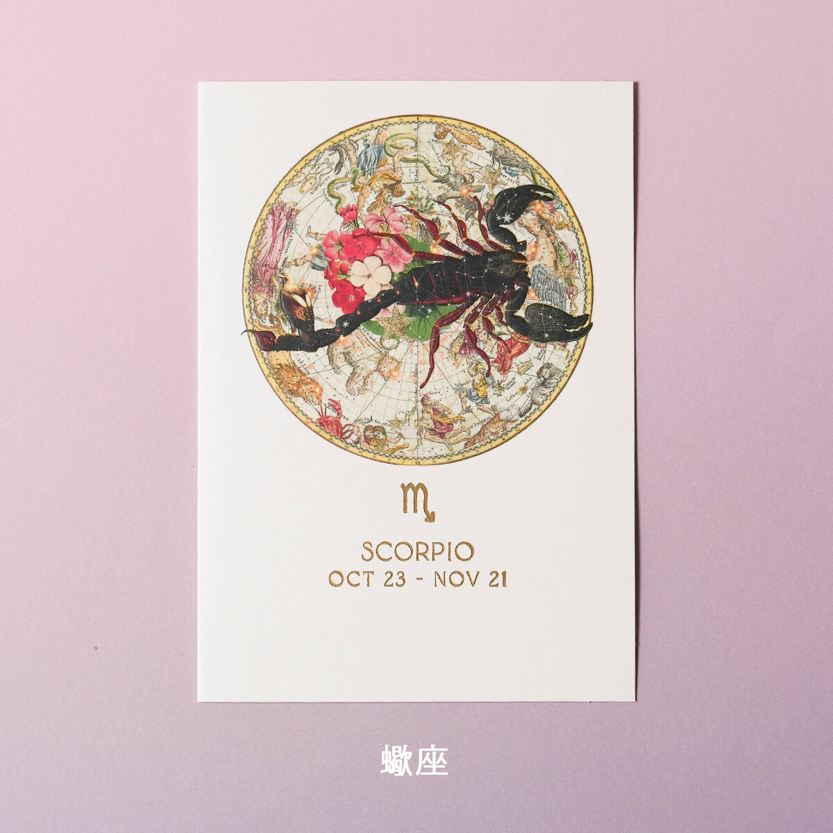 バースデーカード ZODIAC By myrtle & mary