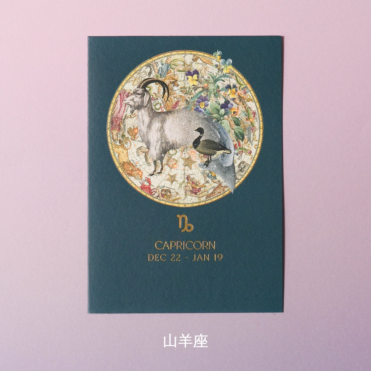 バースデーカード ZODIAC By myrtle & mary