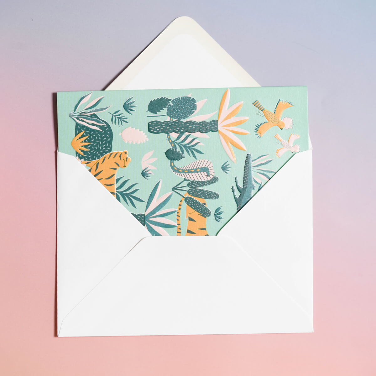 メッセージカード(WILD WORLD)