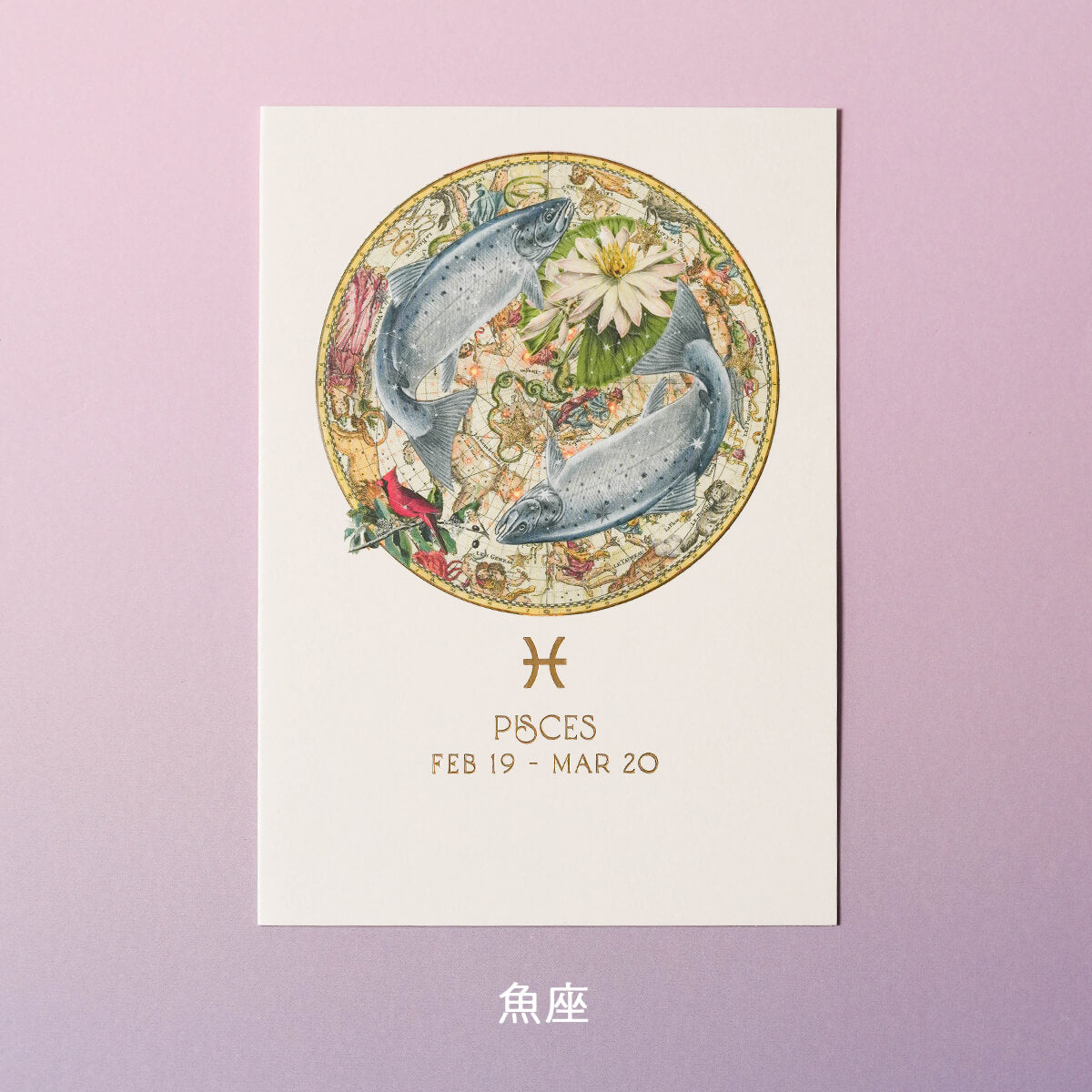バースデーカード ZODIAC By myrtle & mary