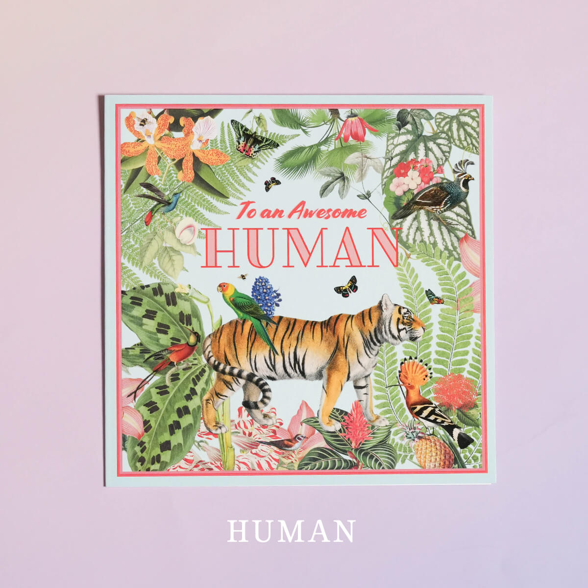 メッセージカード The Paradise Collection By Myrtle & Mary