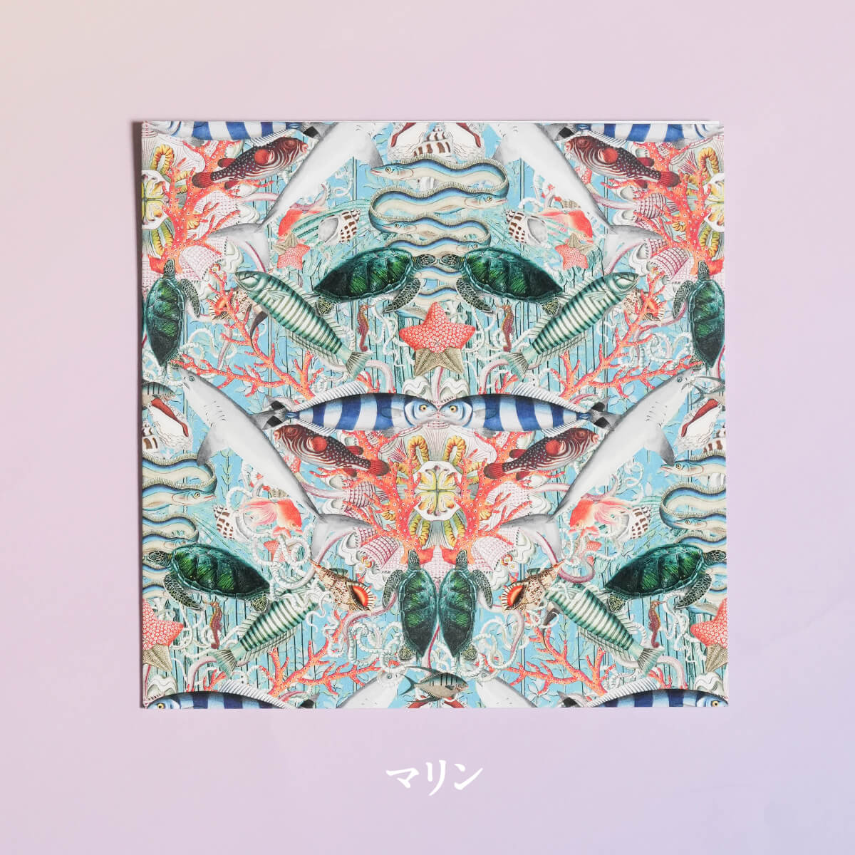 メッセージカード The Paradise Collection By Myrtle & Mary