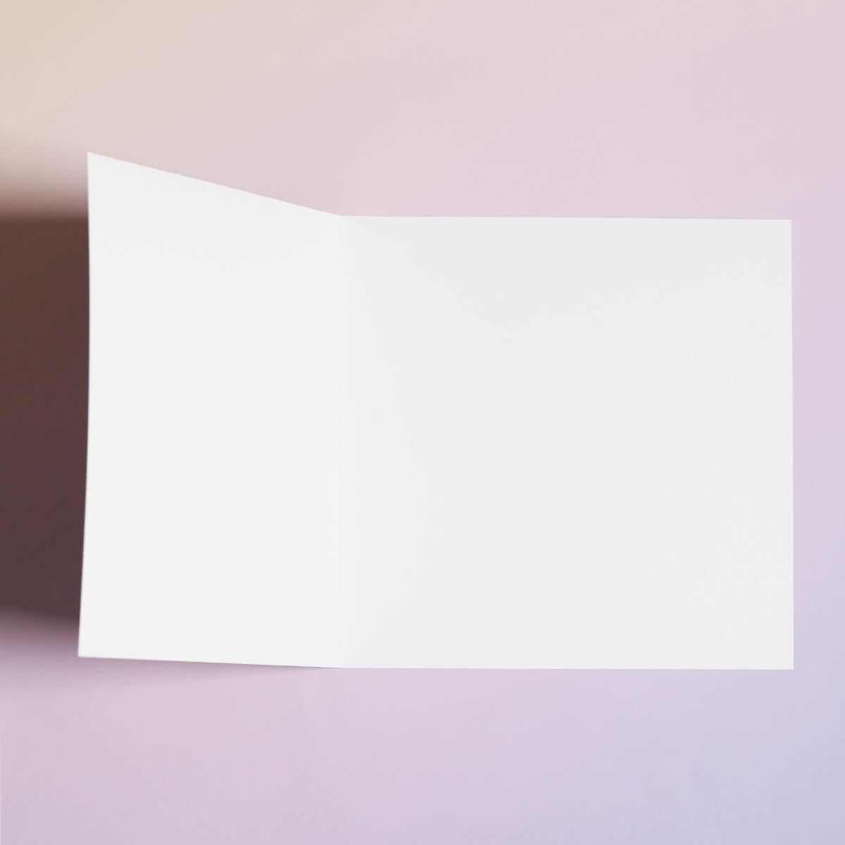 メッセージカード The Paradise Collection By Myrtle & Mary