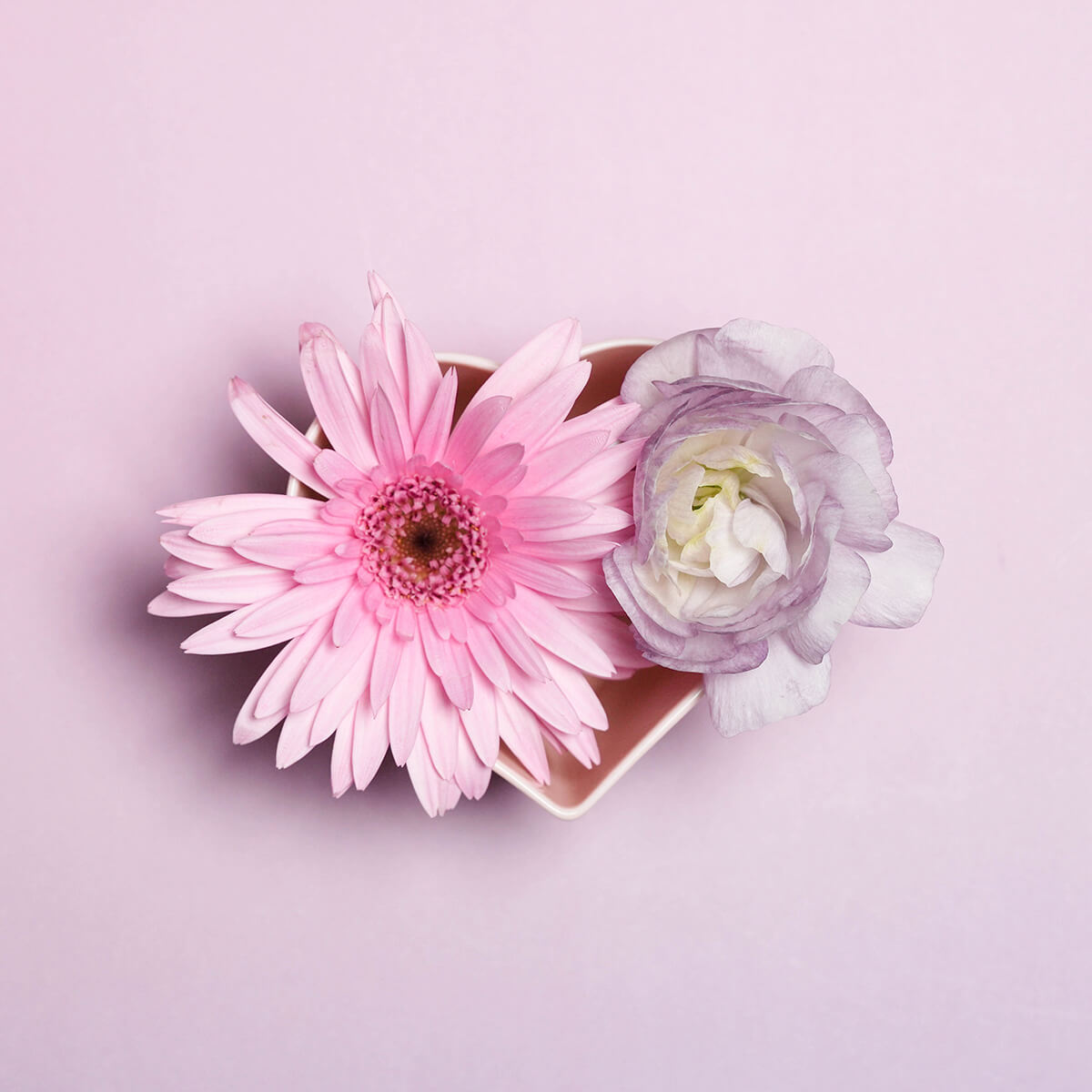 heart white porcelain