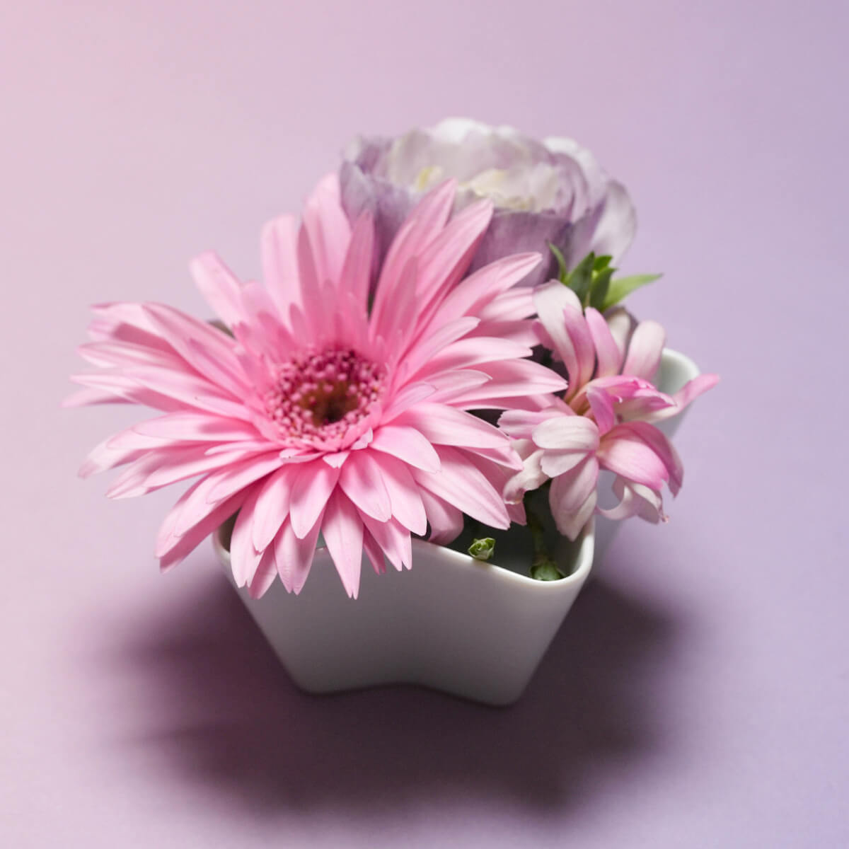 star white porcelain