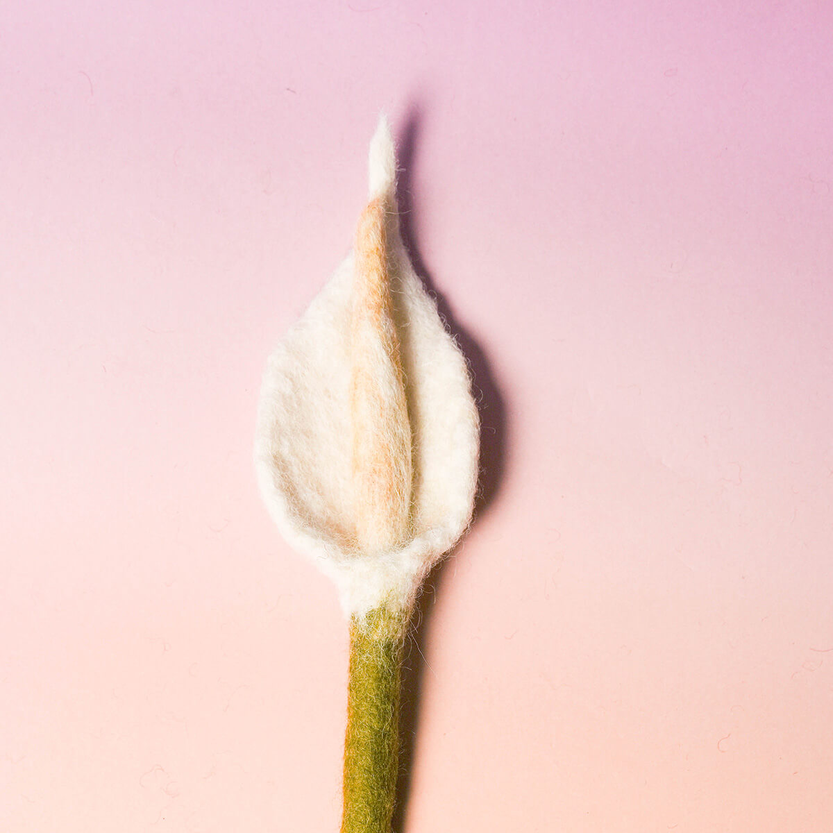 フェルトフラワー（カラー）