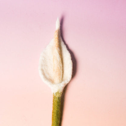 フェルトフラワー（カラー）