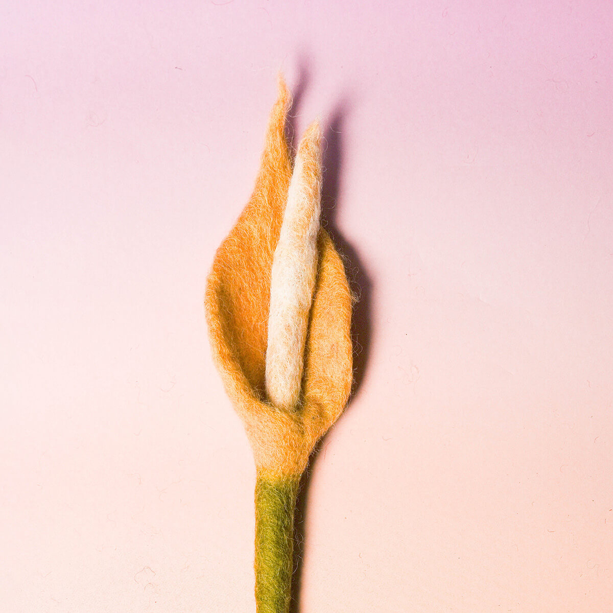 フェルトフラワー（カラー）